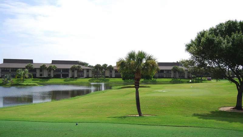 005 - A serene view on a Vista Plantation golf course with a palm tree in the foreground, overlooking a pond and residential buildings under a clear sky_